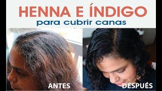 Henna e índigo para cubrir canas en 2 pasos [upl. by Atikahs]