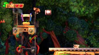 Donkey Kong Country Tropical Freeze  Trunk Twister 14 100 Walk Through [upl. by Etram930]