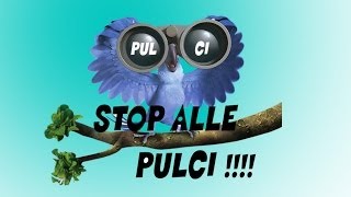 ATTENTI ALLE PULCI DEI PAPPAGALLI [upl. by Gerry413]