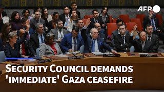 UN Security Council for first time demands immediate Gaza ceasefire US abstains  AFP [upl. by Nywg]