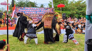 Bapang Barong BrBelong Festival Ngelawang Porsenides Desa Taro 2024 [upl. by Larimer]