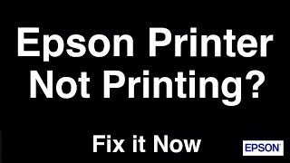 Epson Printer Not Printing  Fix it Now [upl. by Notyarb]