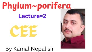 Phylum Porifera  lecture 2 BY Kamal sir [upl. by Fabrianna510]