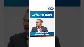 AfD in sechs Worten [upl. by Lonnie]