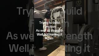 Lower Back RehabNovember 28 2024gymbodybuildingpowerliftingrehablowbackcoachtrainerinjury [upl. by Somar]