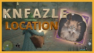 KNEAZLE CAT FUR  Location  Hogwarts Legacy [upl. by Gehlbach647]