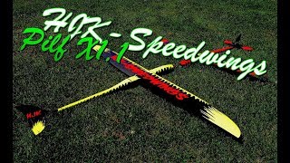 STUNNING RC SPEED Hotliner PilfX11 FROM HJK SPEDWINGS [upl. by Earaj]