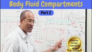 Body Fluid Compartments  IV Fluids  Types amp Uses Part 2 [upl. by Mabel188]