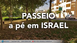 Passeio a pé em Israel Modiin  Rede Israel  Cafetorah Notícias de Israel direto de Sião [upl. by Nevlin]