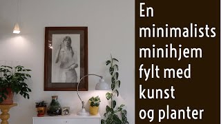 Leilighetsvisning Minimalisme organisering oppbevaring  Små hjem mindre klimafotavtrykk [upl. by Eicnahc]