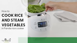 How To Cook Rice And Steam Vegetables At The Same Time In The Yum Asia Panda Mini Rice Cooker [upl. by Yerak]