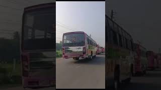 ✨💫 DIWALI CELEBRATION OF KRISHNAVENI BUSES TIRUNELVELI 🔥💥 [upl. by Aehtrod]