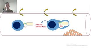 5Lipopolysaccharide LPS [upl. by Aenad904]