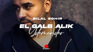 Bilal Sghir  El Galb Aalik Ydemander avec Pitchou  القلب عليك يدموندي Official Music Video [upl. by Hanikas984]