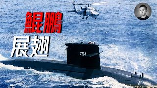 怎樣造潛艇？ 台灣潛艇的祖先竟然是人操魚雷？ 台灣潛艦發展史（上）  說真話的徐某人 [upl. by Sudoeht]