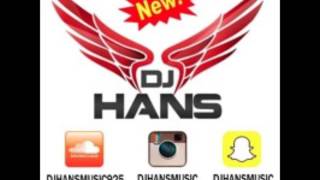 Haa  Zora Randhawa  Mofolactic Dj Hans  Remix Song [upl. by Shaer655]