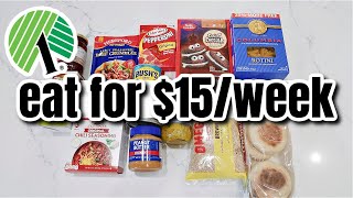 How to Eat for 15 a Week  Dollar Tree Budget Meal Plan  Extreme Grocery Haul [upl. by Cima538]