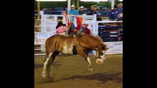 PRCA OAKLEY RODEO 🤠CHAMPIONSHIP BULL RIDES 56 shorts prorodeoorg viral share trending [upl. by Sheets556]