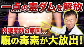 誰も知らない老廃物の【巨大タンク】宿便や腸内環境が悪い人ほどやってください（リンパ・ダイエット・内臓脂肪・腸洗浄） [upl. by Groome498]