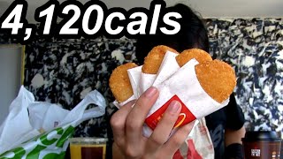 McDonalds Ultimate Breakfast Challenge [upl. by Neslund88]