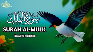 Surah ALMULK سورۃ المُلک  Majestic Quran Recitation Heart Stealing voice quran [upl. by Oicapot]