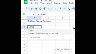 Google Sheets Changing Text to Lower Case [upl. by Lihkin]