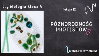 Biologia klasa 5 Lekcja 12  Różnorodność protistów [upl. by Seravart]