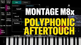 Montage M8x polyphonic aftertouch [upl. by Cairns530]