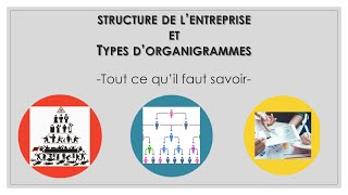 STRUCTURE ET ORGANIGRAMME DE LENTREPRISE tout ce quil faut savoir [upl. by Thorwald890]