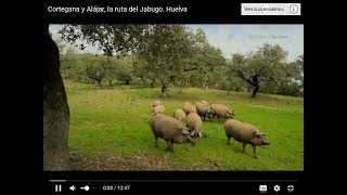 Cortegana y Alájar la ruta del Jabugo Huelva [upl. by Alodie]