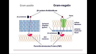 2b Antibiotika Substanzen [upl. by Marilee]