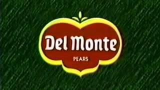 Del Monte Plant 3 Overview 1999 [upl. by Graf417]