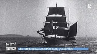 VU DICI  Les TerreNeuvas des pêcheurs dexception [upl. by Luapnaes]