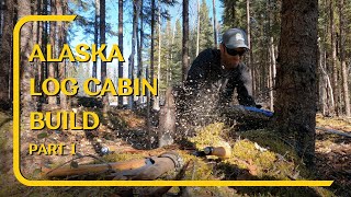 Off Grid Alaska Rustic Log Cabin Build No Experience [upl. by Rice]