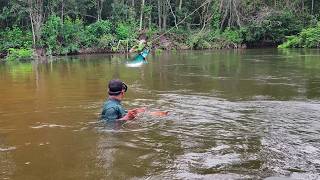 Pescando con arpón robalos y cocinando aventura de pesca por hermoso rio [upl. by Hacker]