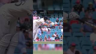 Rarest but Funny Moments in Cricket [upl. by Ahk]