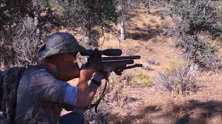 Extreme Series films quotAirgun Huntingquot Southern California 1 [upl. by Callista]