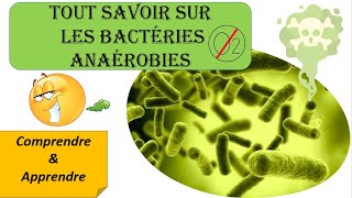 Les Bactéries ANAEROBIES  TOUT SAVOIR sur les BACTERIES [upl. by Ganley]