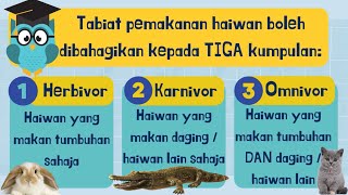 Sains Tahun 3  Haiwan  Tabiat Pemakanan  Herbivor  Karnivor  Omnivor  Gigi kacip  Gigi taring [upl. by Rocco]