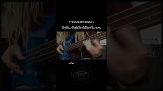 1 Remcos Groove Lab  Fretless Funk Rock Bass Grooves shorts reels song sologitar barrakusut [upl. by Laurens]