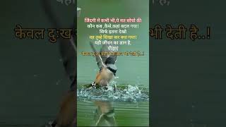 piraye keval dukh hi nahi Gyan bhi deti haimotivational Suvichar in hindi [upl. by Altaf]