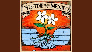 From Palestine to Mexico [upl. by Laval190]