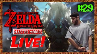 Zelda BOTW Master Modus Live Part 29 [upl. by Hilleary]