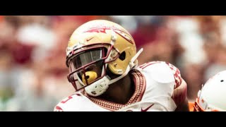 REPORT Former FSU Receiver Tamorrion Terry Charged With Murder [upl. by Ahsilad]