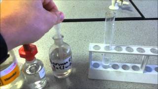 Test for Sulfate ions [upl. by Aivax]