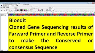 Bioedit How to merged the sequence of farward and reverse primers sequencing result of the gene [upl. by Nahsrad]