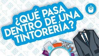 ¿Qué pasa dentro de una tintorería [upl. by Ahsanat]