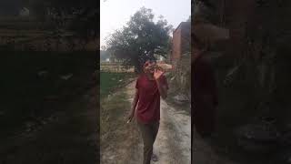 Co Boy Rohit comedy funny roast bhojpuri fun viralvideo video trendingshorts shortvideo [upl. by Aicelef]