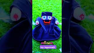 Tara bahudare 🙏odiabhajan jayjagannath odiawhatsappstatus bijoygoswyoutubevideos subscribe [upl. by Ceciley]