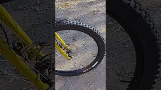 Maxxis Assegai 29x26 maxxis maxxistires assegai покрышка шина колесо велосипед surlybikes [upl. by Nylirej]